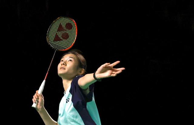 数据显示 数据显示